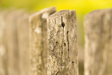 Old weathered wooden fence posts in a rural setting