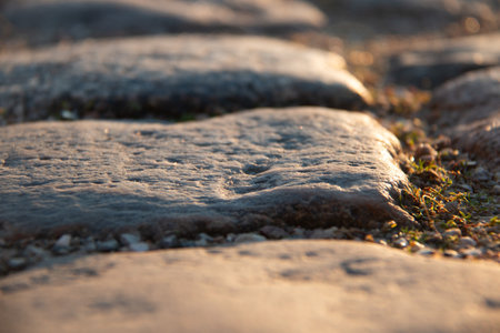 Old cobblestone path illuminated by low sunlight with moss growing between the stonesの写真素材