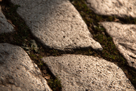 Close-up of uneven cobblestone pavement with moss growing between the stones in natural lightの写真素材