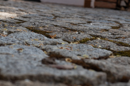 Close-up of cobblestone surface with natural light reflection and texture