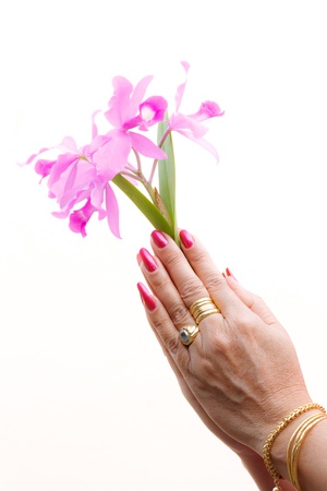 a woman hold pink orchid in your handsの写真素材