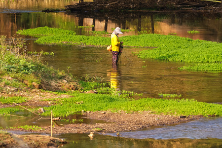 Phayao,Thailand - February 15 : Unidentified a Thai woman is preparing to fish in a shallow river,on February 15,2017,in the village of Sop Bong,Chiang Kham District,Phayao,Thailand.のeditorial素材
