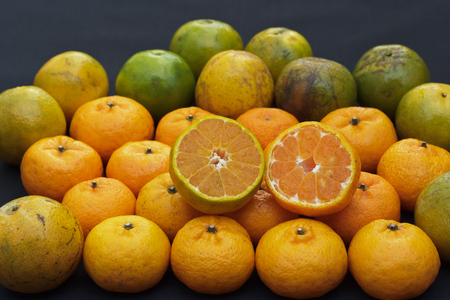 Pile of oranges and one orange cut in half to see the meat inside.の写真素材