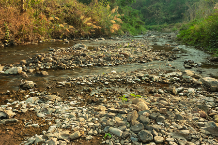 In the summer,a canal in the countryside of Thailand.の写真素材