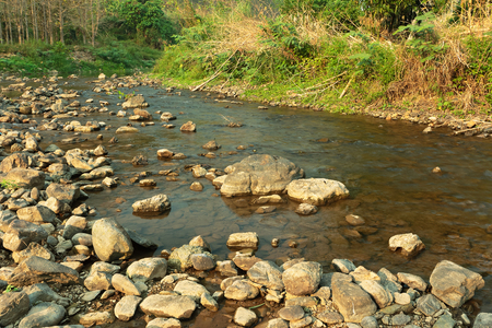 In the summer,a canal in the countryside of Thailand.の写真素材