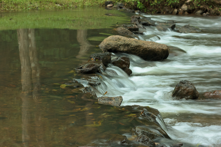 Water stream in the rainy season.Select focus point.の写真素材