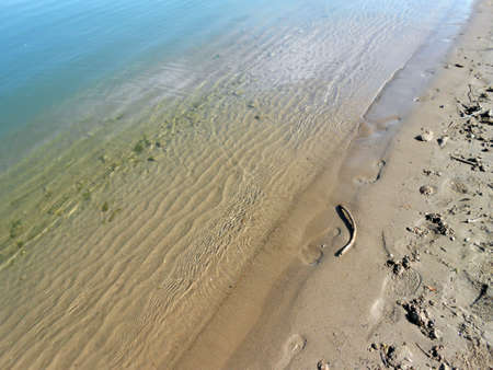 Tracesの写真素材