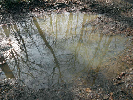 Reflexの写真素材