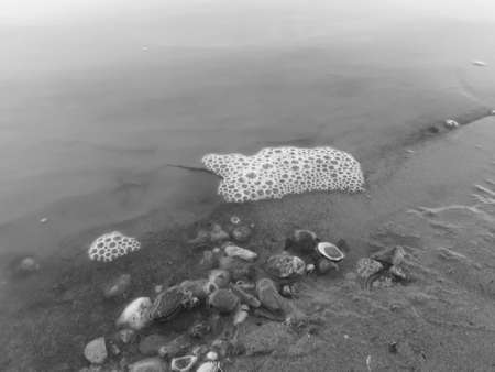 Foam on river waves monochromの写真素材