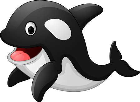 Cute killer whale cartoonのイラスト素材