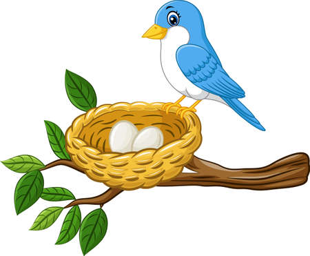 Bird with egg in the nest isolated on white backgroundのイラスト素材