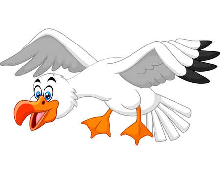 Funny seagull cartoonのイラスト素材