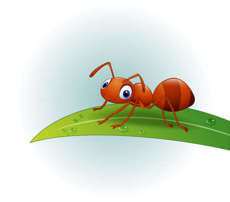 Vector illustration of Cartoon ant on the leafのイラスト素材