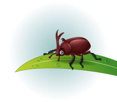 Vector illustration of Cartoon rhino beetle on leafのイラスト素材