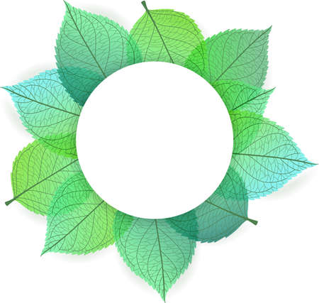 Vector illustration of Background of stylized green leavesのイラスト素材