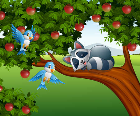 illustration of Cartoon raccoon sleep on the apple treeのイラスト素材
