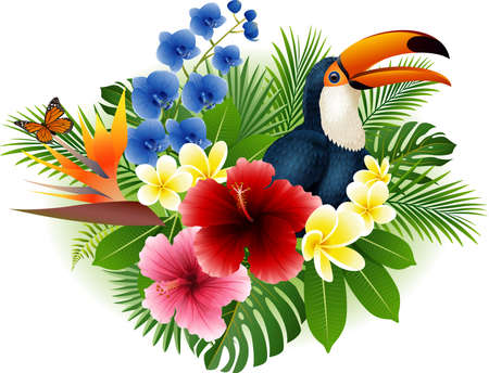 illustration of Cartoon toucan and butterfly with flowers and leaves backgroundのイラスト素材