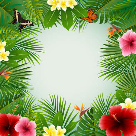 illustration of Tropical plants backgroundのイラスト素材