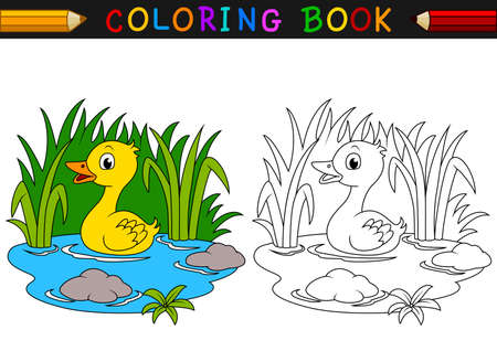 vector illustration of Cartoon duck coloring bookのイラスト素材