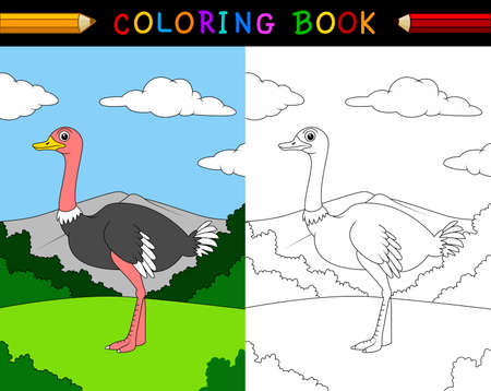 illustration of Cartoon ostrich coloring bookのイラスト素材