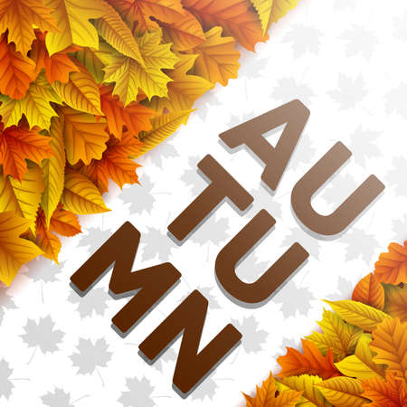 Autumn leaves backgroundのイラスト素材