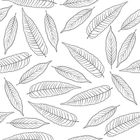 Hand drawn rowan leaves isolated on white backgroundのイラスト素材
