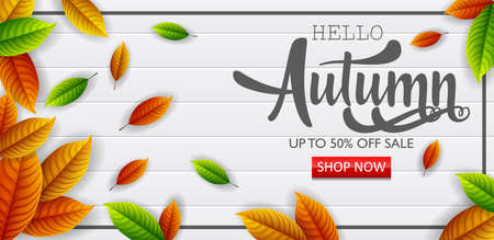 Hello autumn sale bannerのイラスト素材