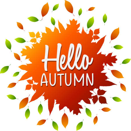 Hello Autumn lettering on a colorful leavesのイラスト素材