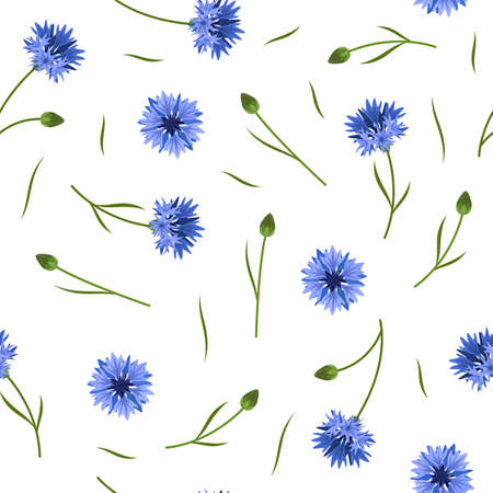 Seamless floral pattern with blue corn flowers on white backgroundのイラスト素材