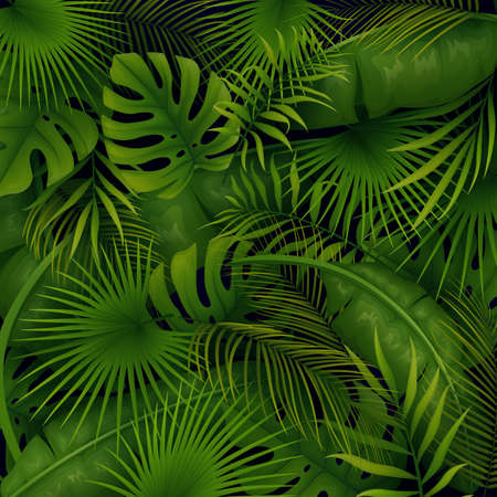 Tropical forest backgroundのイラスト素材