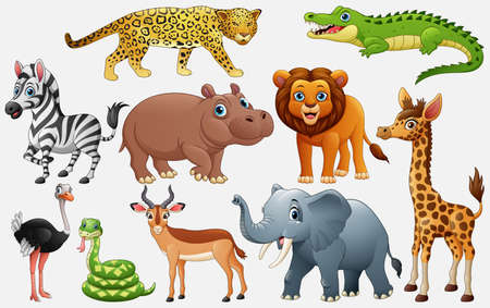 Vector illustration of Cartoon wild animals on white backgroundのイラスト素材