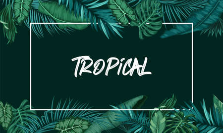 Tropical forest with rectangle frame on black backgroundのイラスト素材