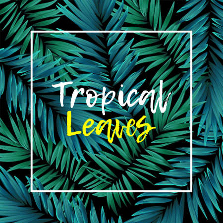 Tropical leaves palm backgroundのイラスト素材