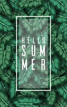 Hello summer with Caladium leaves greenのイラスト素材