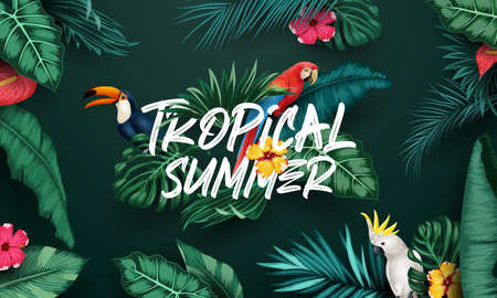 Birds collection and tropical plants backgroundの写真素材