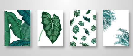 Set Invitation Card Leaves Background