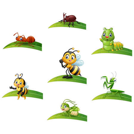 Cartoon insect on leaf collections setのイラスト素材