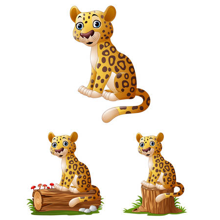 Cartoon leopard sitting collections setのイラスト素材