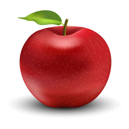 Vector illustration of red appleのイラスト素材