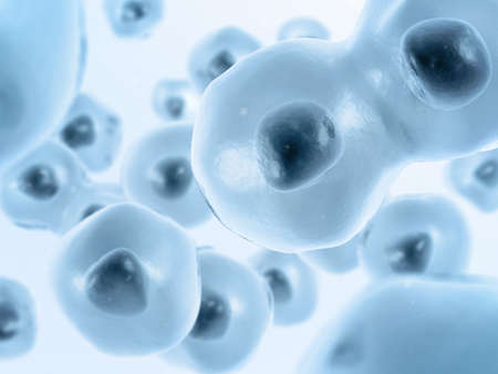 Cell divides into two cells. Blue-gray color.の写真素材