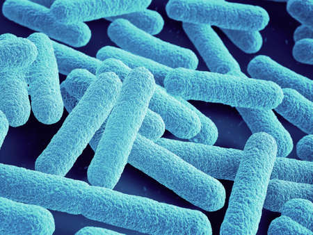 Escherichia coli bacteria 3d close up. Rod-shaped. Blue color. Bacterial Multiplication.の写真素材