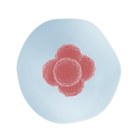 Human cell. Isolated. 3d illustration.の写真素材