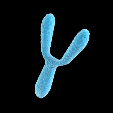 Chromosome Y isolated on black background. 3d illustration.の写真素材