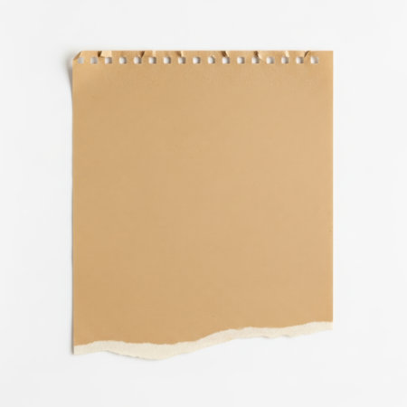 Brown kraft paper sheet isolated on white backgroundの素材