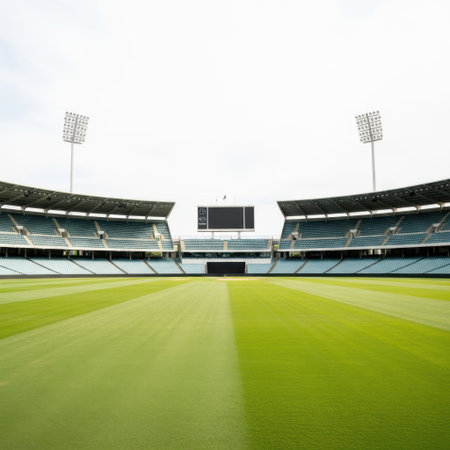 Empty sports stadium field isolated on white backgroundの素材