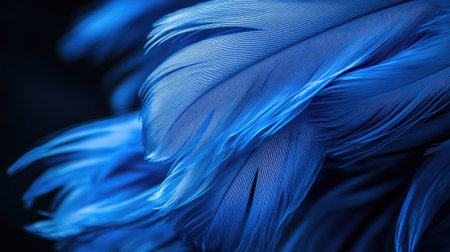 This image showcases a collection of vibrant blue feathers, highlighting their intricate textures and softness in a natural and artistic way.の素材