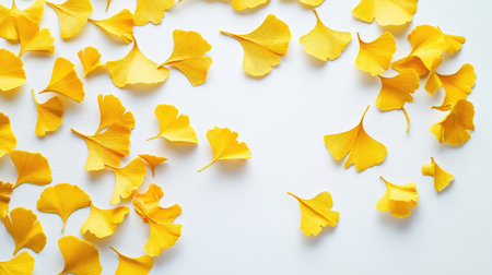 A collection of delicate yellow ginkgo leaves scattered elegantly on a clean white background, creating a serene and vibrant natural aesthetic for various design projects.の素材