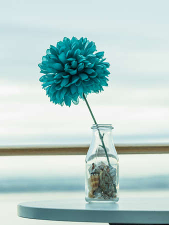 A Single Artificial Blue Dahlia in a Bottle Shaped Vase Filled with Seashells on a tableの写真素材