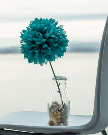 A Single Artificial Blue Dahlia in a Bottle Shaped Vase Filled with Seashells on a chairの写真素材