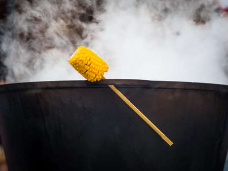 Grilled sweet corn on the stickの写真素材